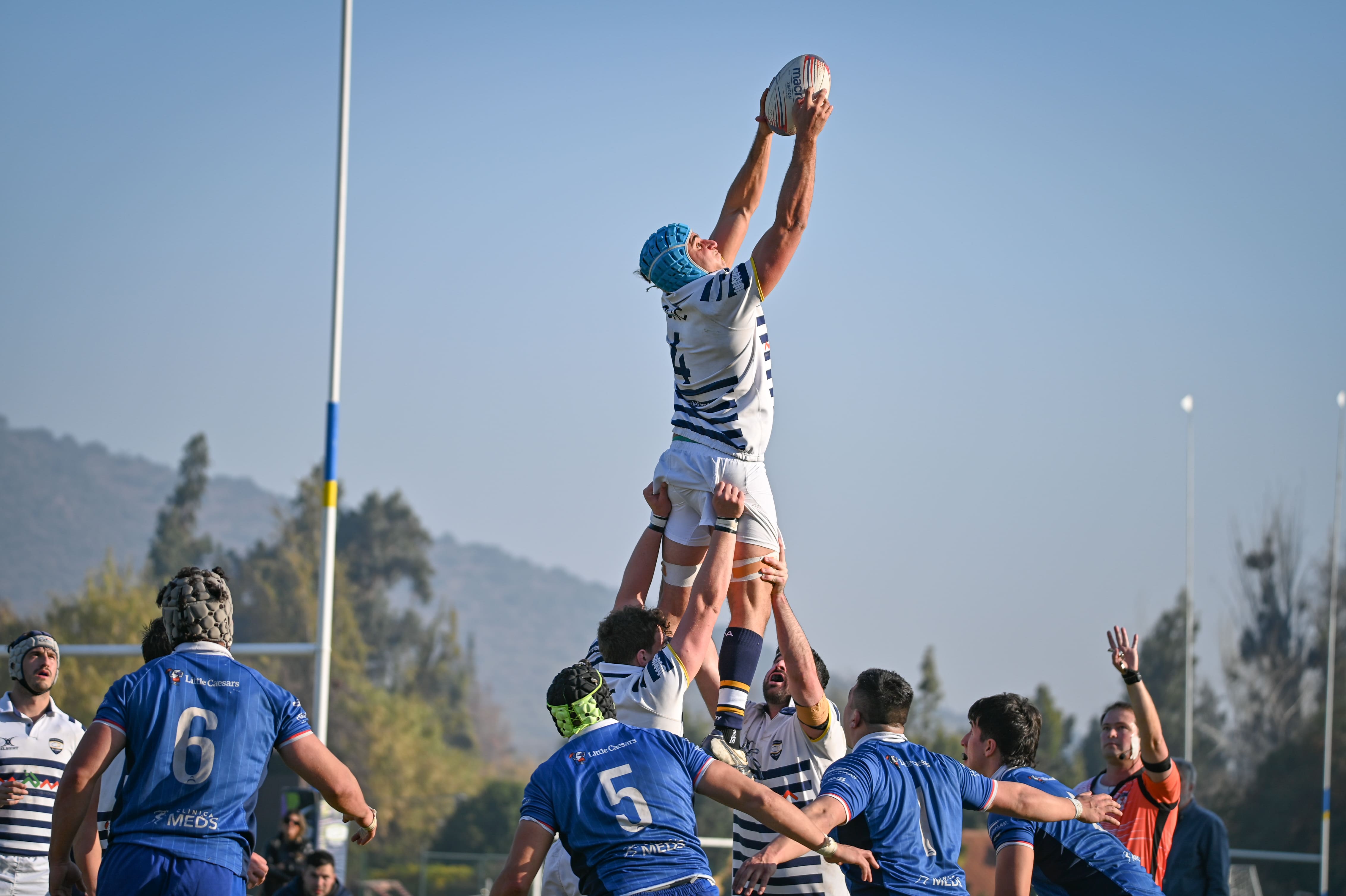 Rugby Adultos