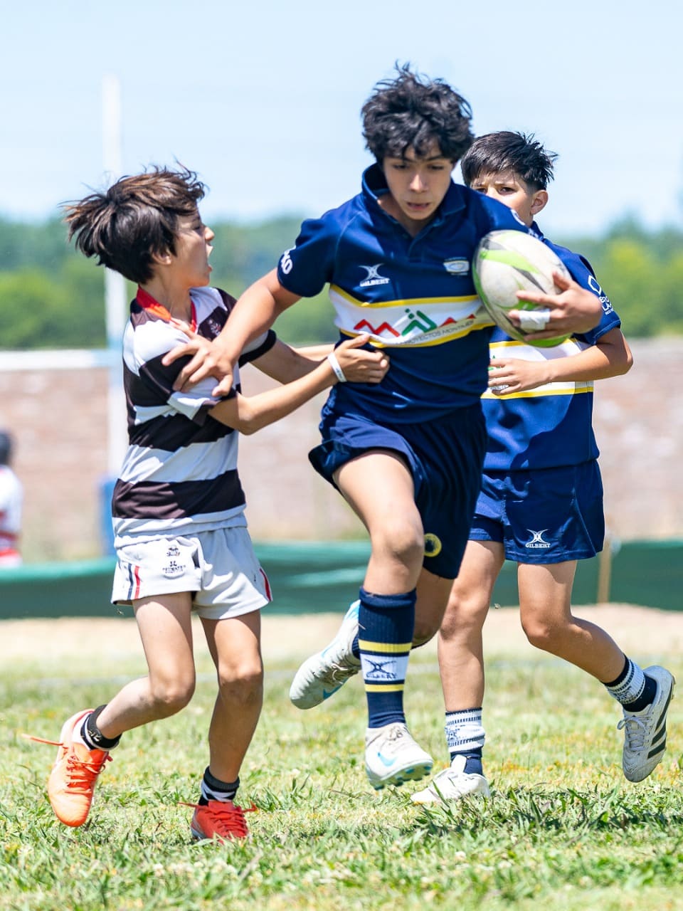 Rugby M12